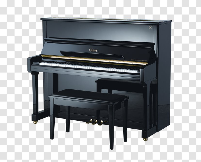 Steinway Hall & Sons Upright Piano Gallery - Flower Transparent PNG