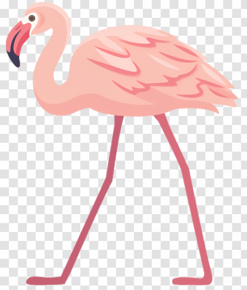 Pink Flamingo - Neck Water Bird Transparent PNG
