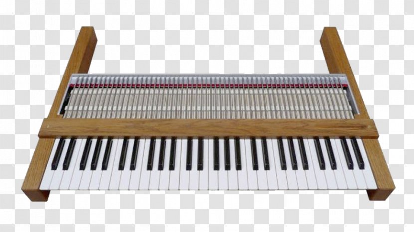 Nord Stage Digital Piano Electronic Keyboard - Cartoon Transparent PNG