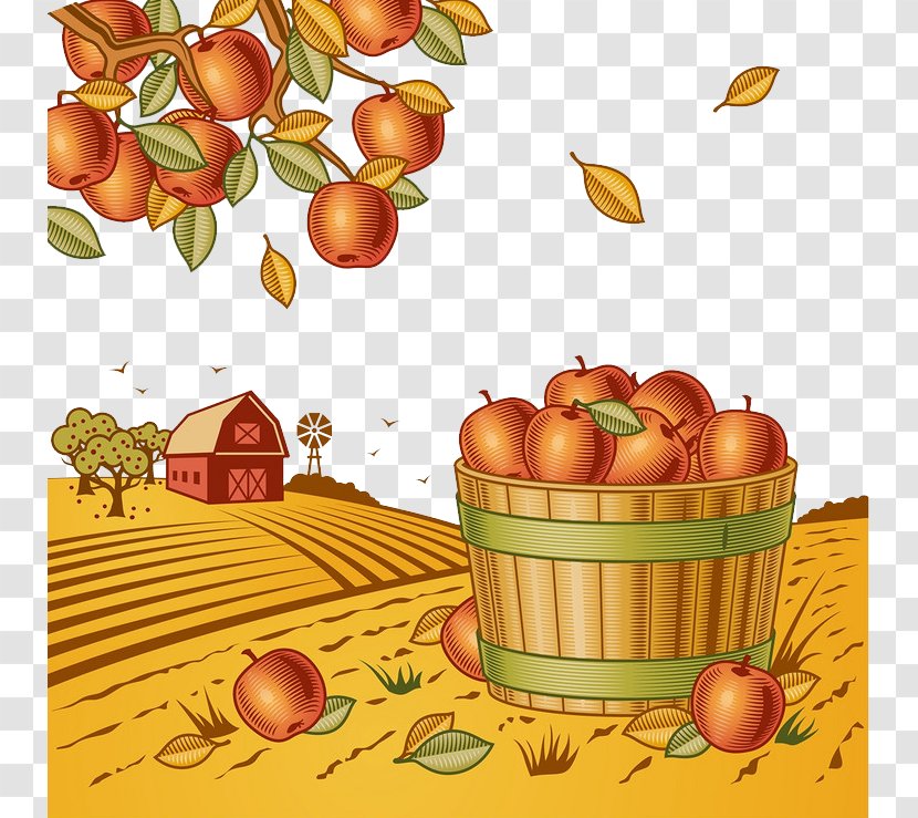 Harvest Stock Photography Clip Art - Autumn Fruit Transparent PNG