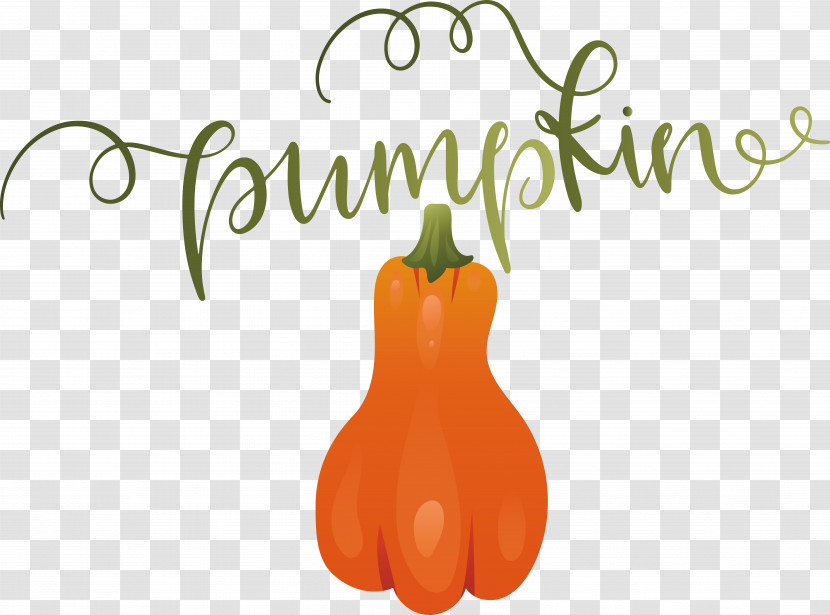 Pumpkin Transparent PNG