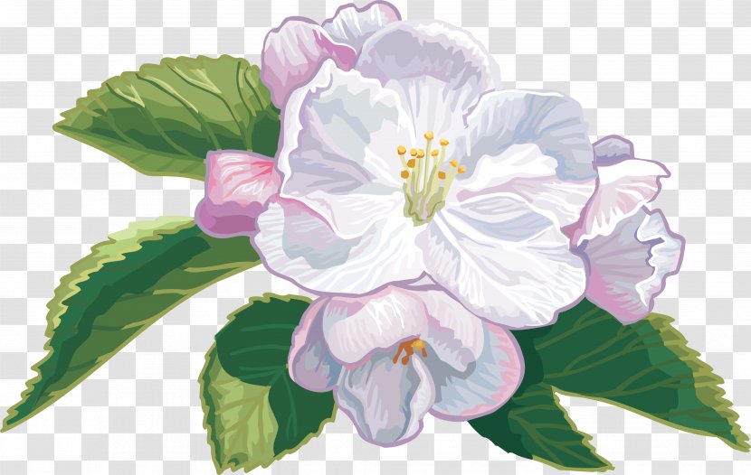 Cut Flowers Apples Cape Jasmine Clip Art - Flower Transparent PNG