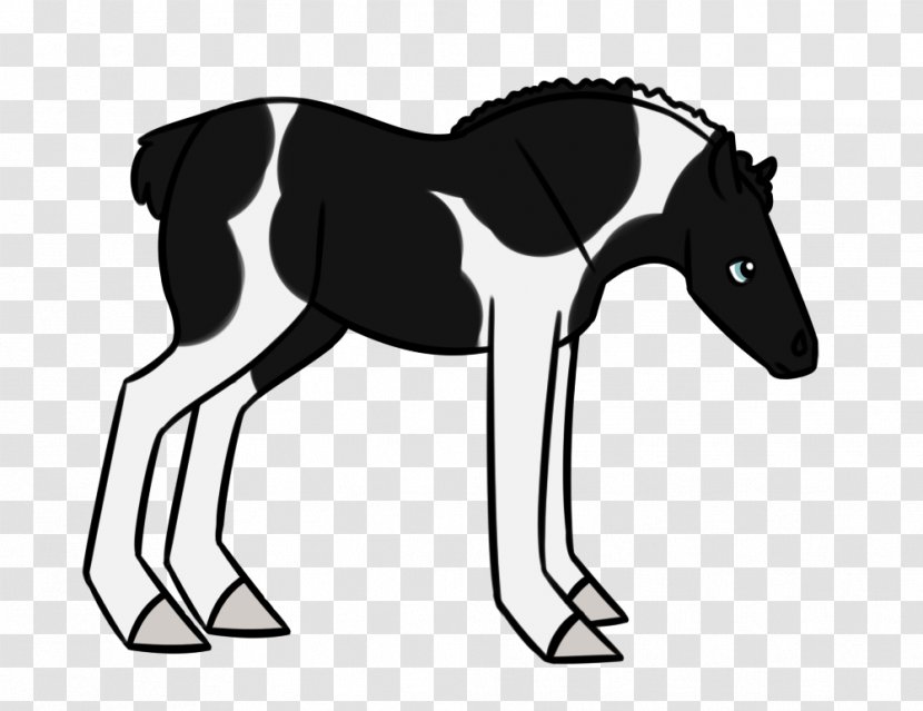 Mule Foal Stallion Donkey Mustang - Black And White Transparent PNG