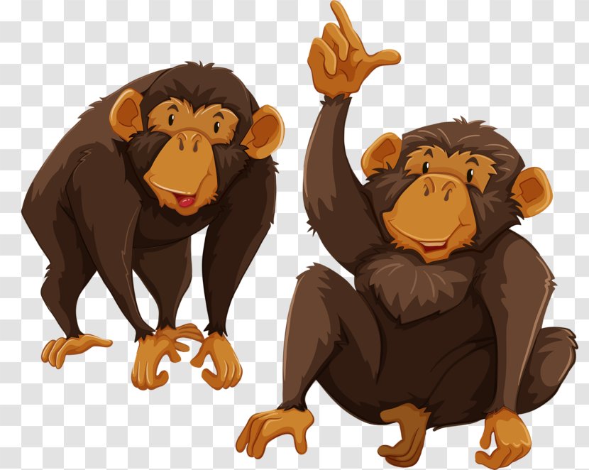 Gibbon Primate Monkey Illustration - Organism - Naughty Transparent PNG
