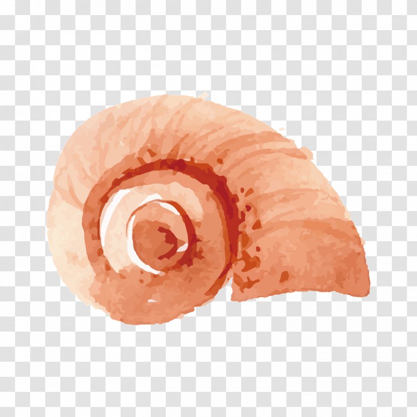 Seashell Orthogastropoda - Heart - Pink Snail Transparent PNG