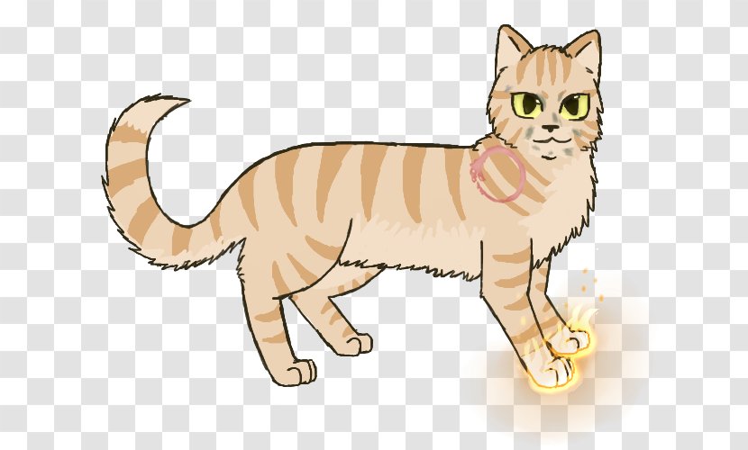 Tabby Cat Kitten Domestic Short-haired Whiskers Wildcat - Cartoon Transparent PNG