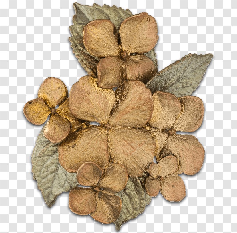 Leaf Wood - Hydrangea Transparent PNG