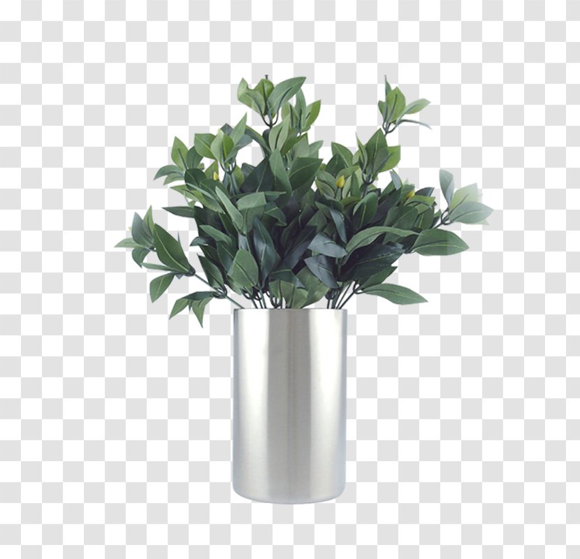 Vase Flowerpot - Plant - I Transparent PNG