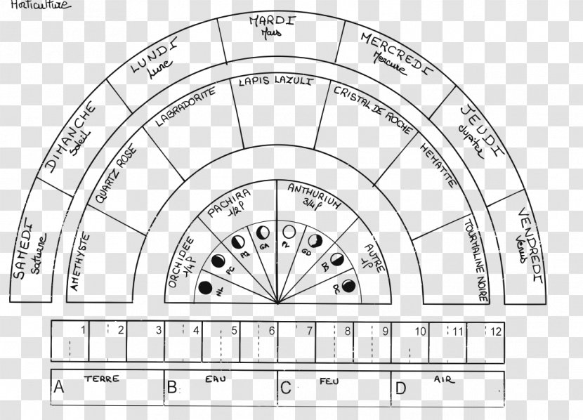 Pendulum Charts Dowsing Divination Bovis-Einheit - Tarot - Chakra Pinterest Transparent PNG