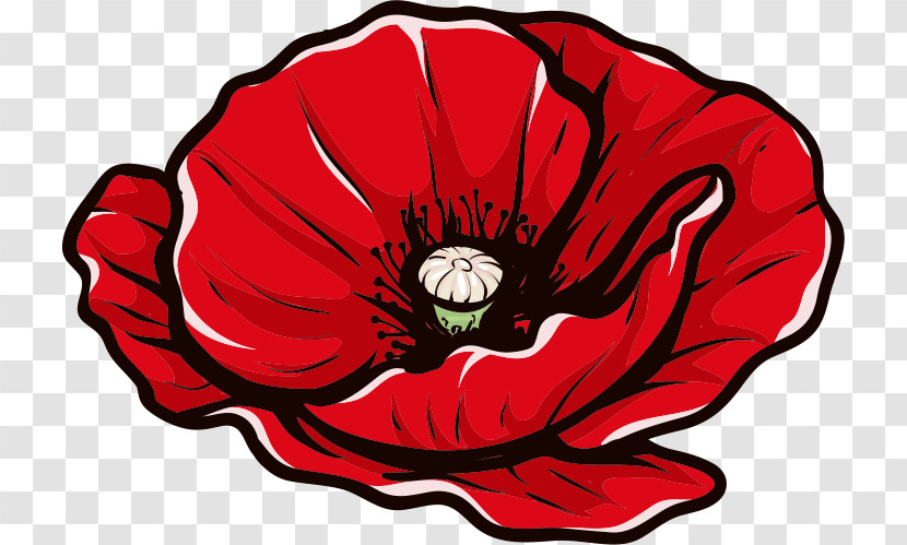 Red Poppy Flower Poppy Flower Transparent PNG