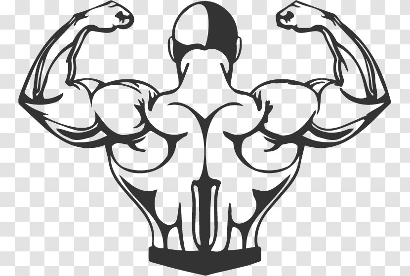 Bodybuilding Muscle Exercise Cartoon - Strength Training Transparent PNG