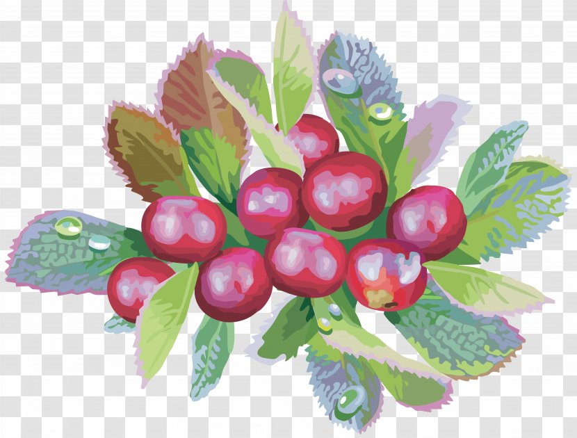 Bilberry Food Cranberry - Branch - Dates Transparent PNG