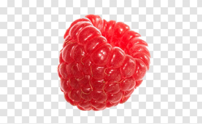 Fruit Raspberry - Loganberry - Boysenberry Transparent PNG