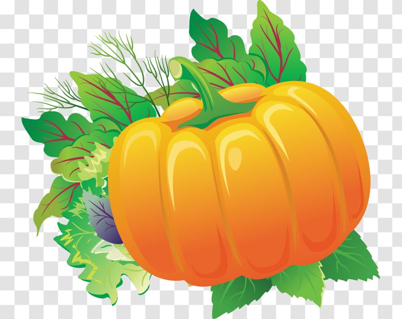 Pumpkin Calabaza Gourd - Vegetable - Vegetables Vector Material Transparent PNG
