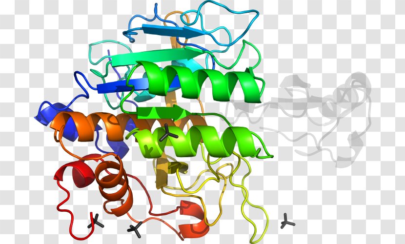 Monoamine Oxidase NNT Enzyme Number Needed To Treat Protein - Heart - Watercolor Transparent PNG