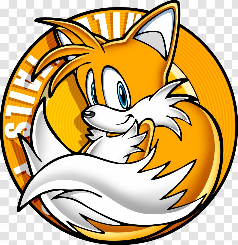 Tails Sonic The Hedgehog Knuckles Echidna Video Game - Tail Transparent PNG