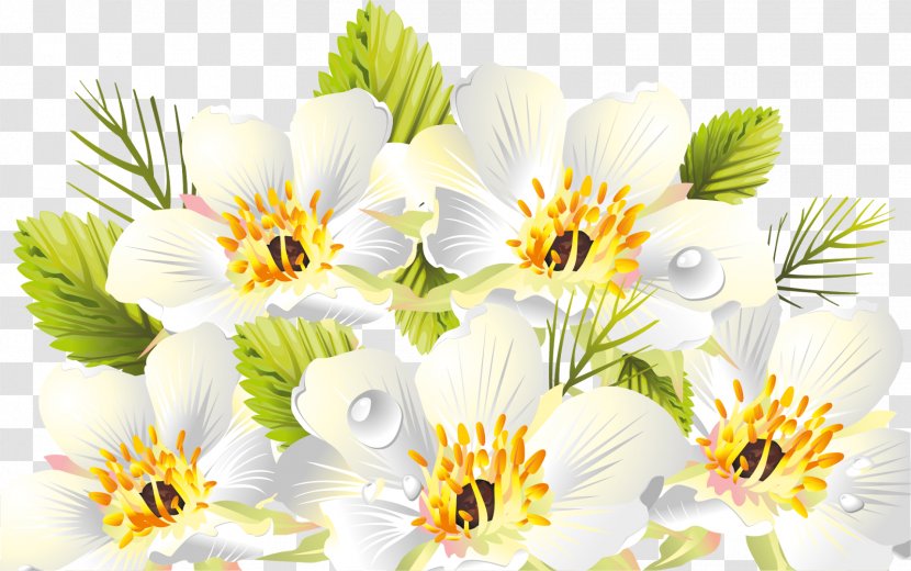 Flower Clip Art - Floristry - Spring Transparent PNG