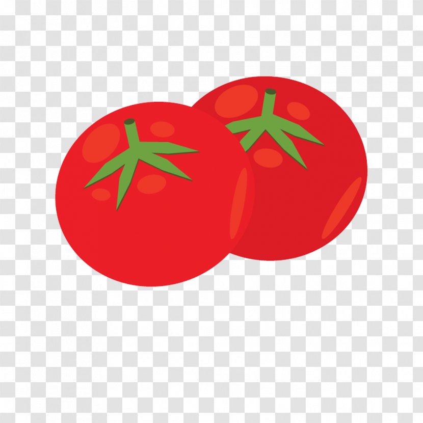 Tomato - Potato And Genus Transparent PNG