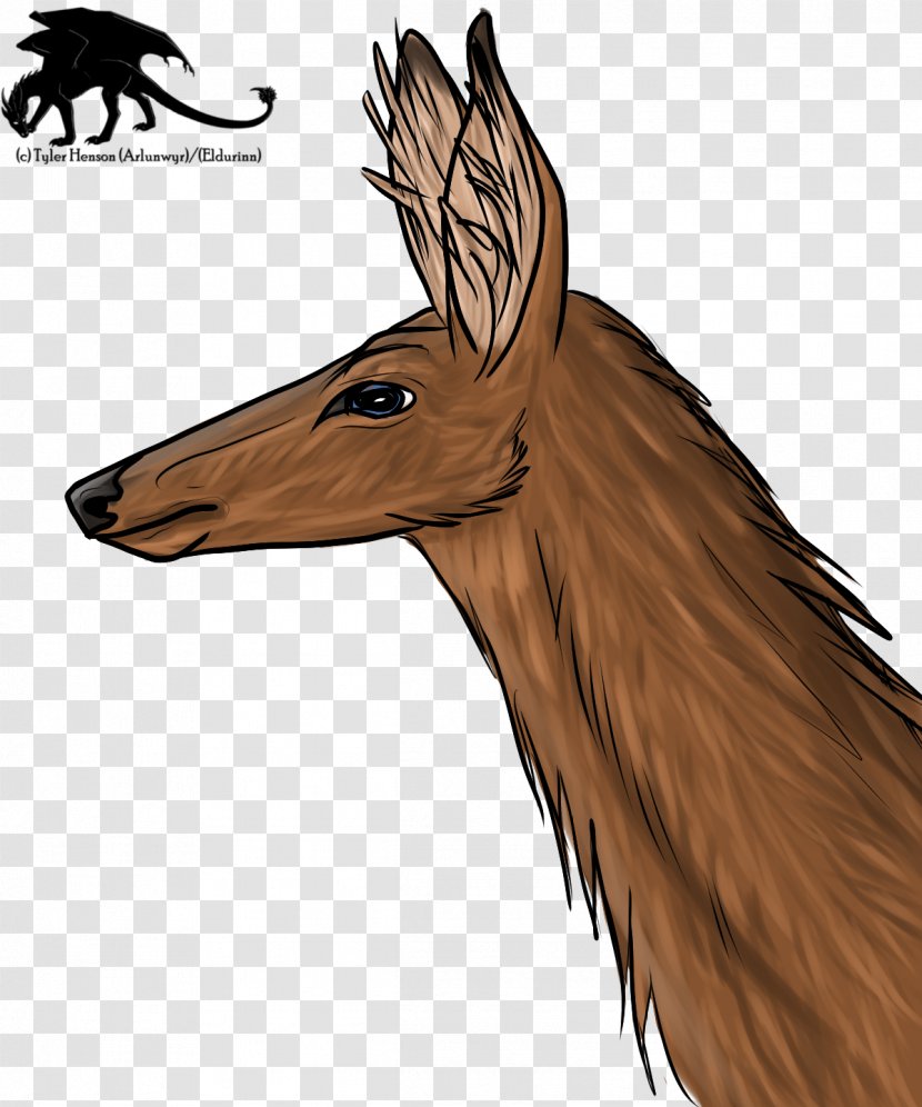 Deer Horse Mammal Dog - Head Transparent PNG
