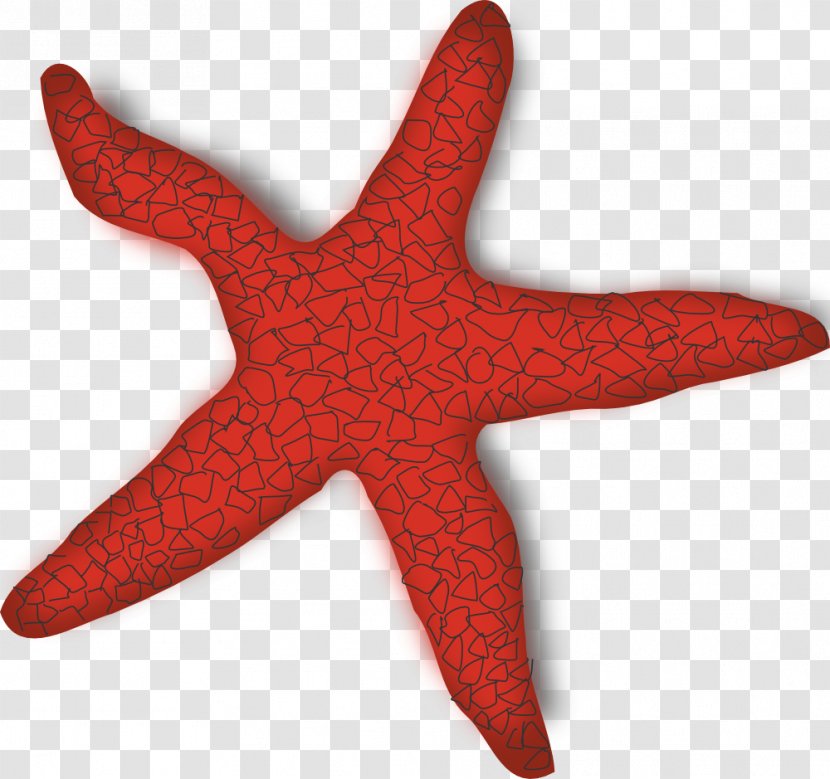 Starfish Clip Art - Product Design Transparent PNG