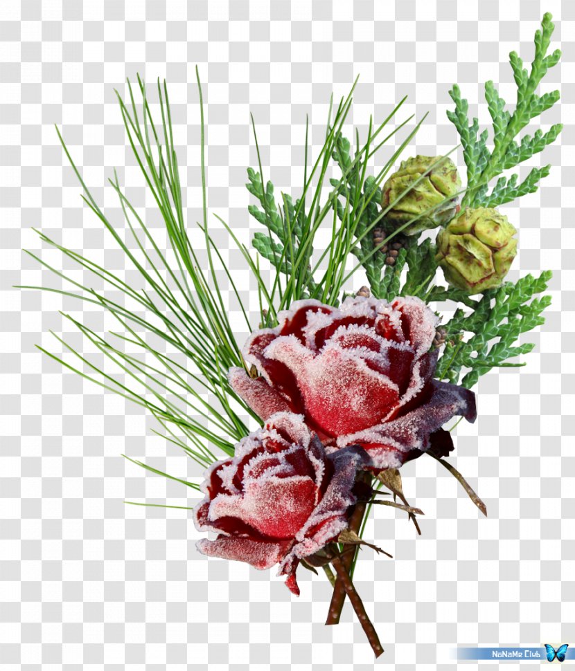 Winter SWF Clip Art - Floristry Transparent PNG