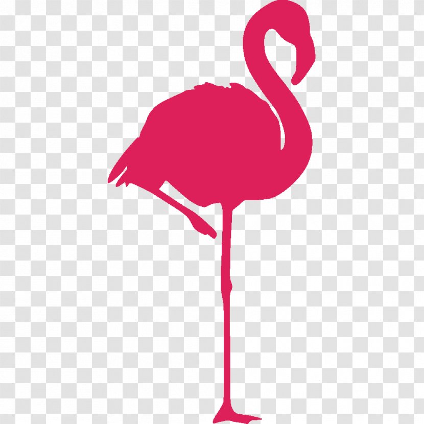 Greater Flamingo Bird American Sticker - Flamingos Transparent PNG