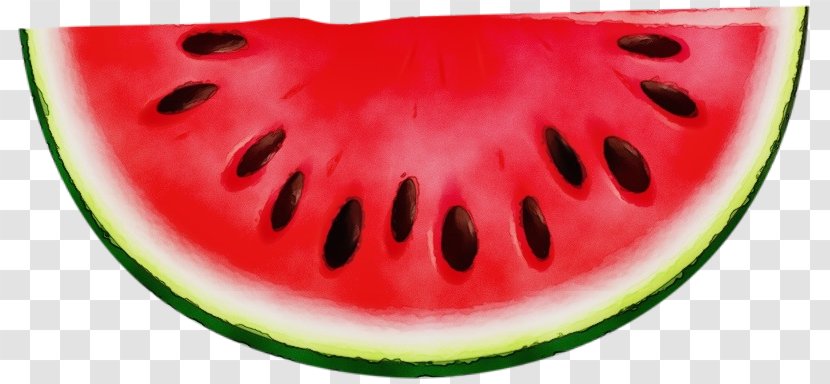 Watermelon Background - Citrullus - Superfood Cucumber Gourd And Melon Family Transparent PNG