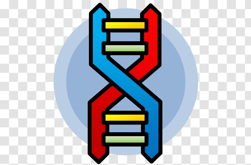 Nucleic Acid Double Helix Vine - Homo Sapiens Transparent PNG