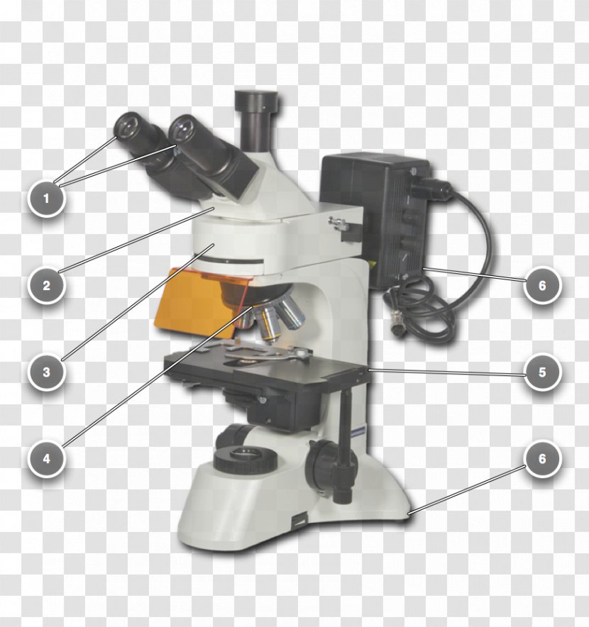 Microscope Product Design Angle - Hardware Transparent PNG