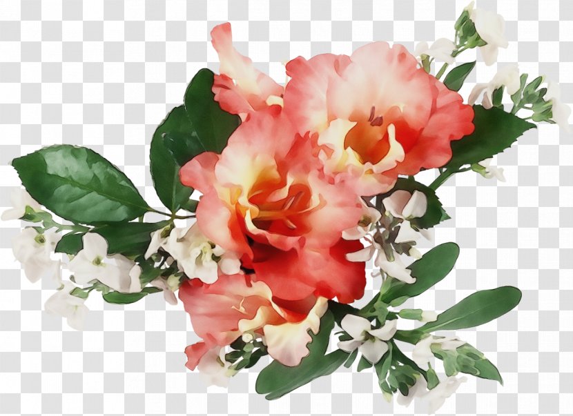 Watercolor Pink Flowers - Rhododendron - Rose Order Transparent PNG