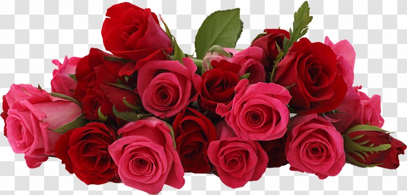 Flower Bouquet Cut Flowers Floristry Rose - Rosa Centifolia - Mary Transparent PNG