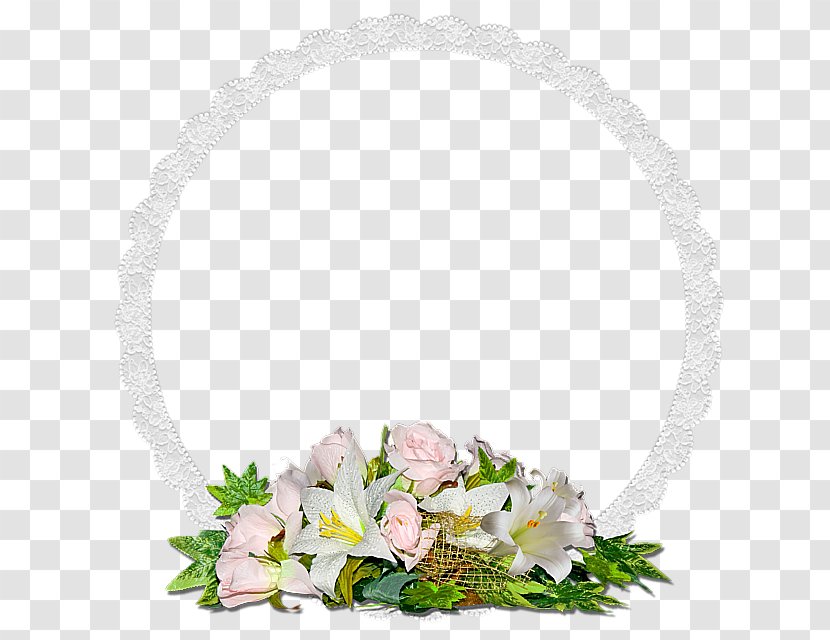 Rose Image White Photography Flower Transparent PNG
