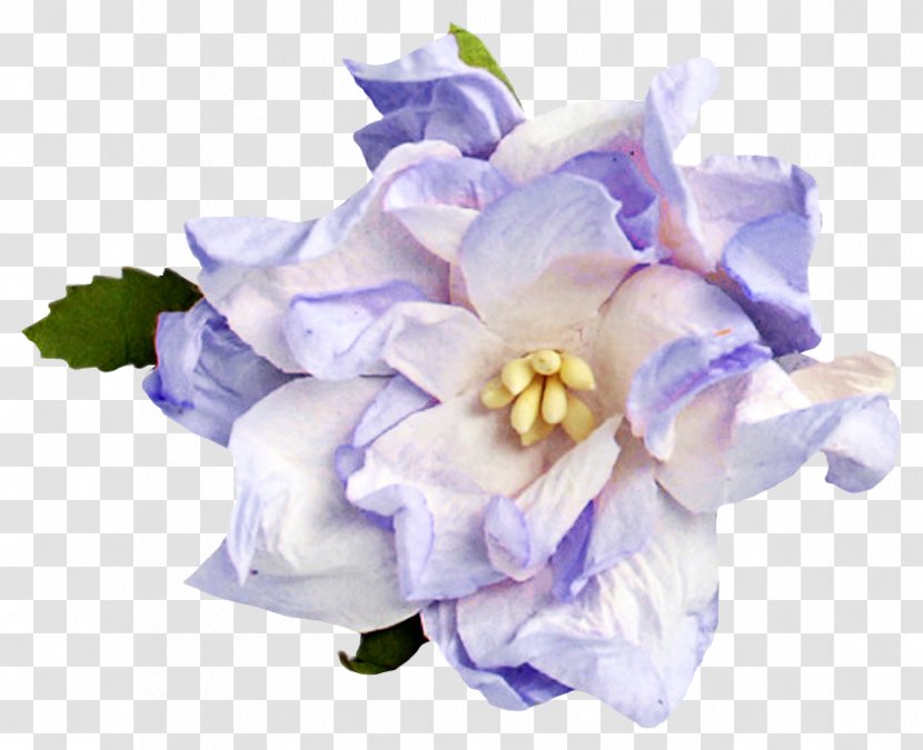 Flower Blue Floral Design Color Image Transparent PNG