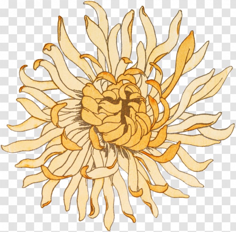 Chrysanthemum Artist Cut Flowers - Chrysanths Transparent PNG