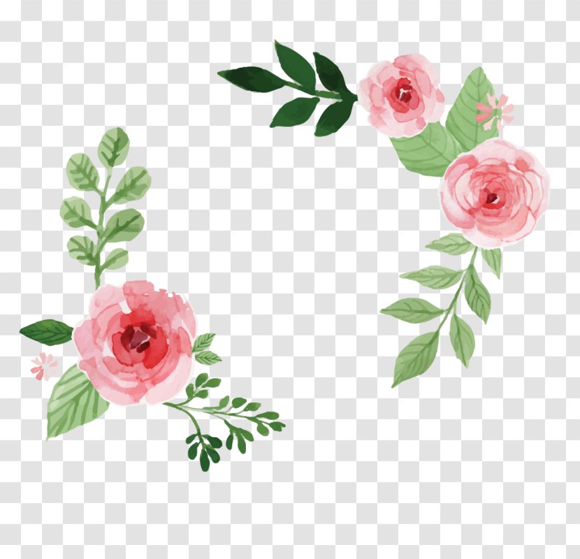 Floral Wedding Invitation Background - Hybrid Tea Rose - Design Rosa Wichuraiana Transparent PNG