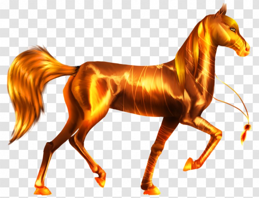 Mustang Stallion Foal Colt Pony - Mane Transparent PNG