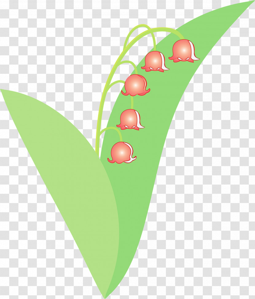 Leaf Green Plant Flower Fruit Transparent PNG