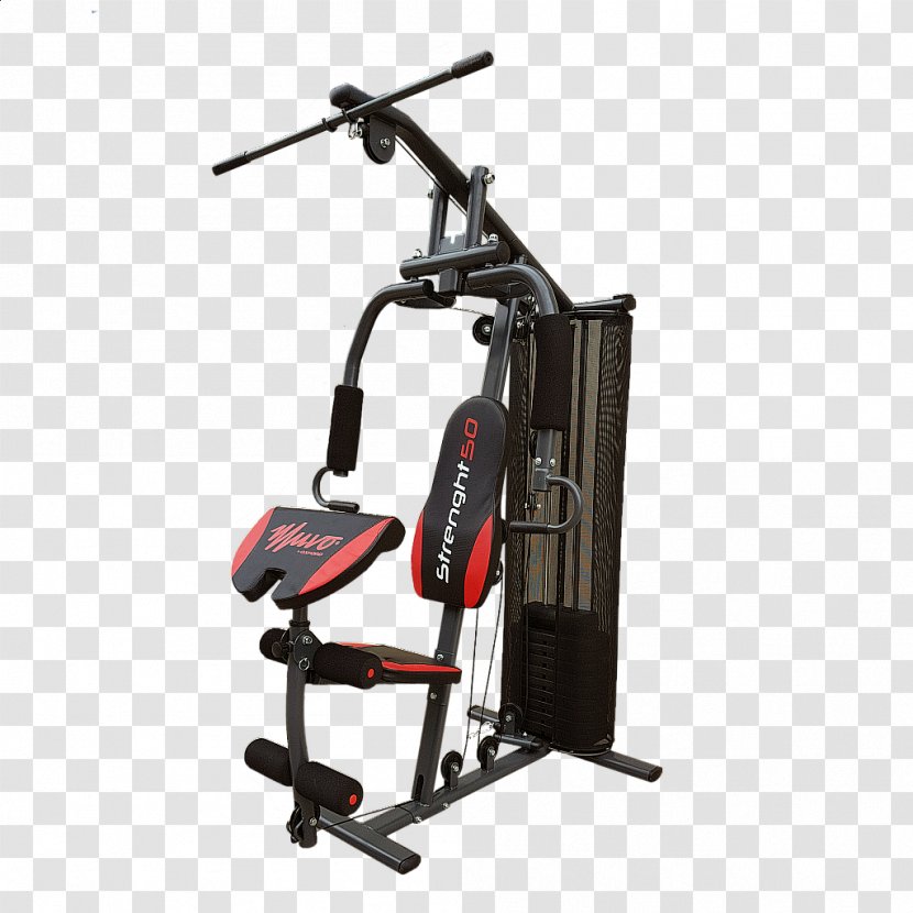 Fitness Centre Exercise Equipment Physical - Strenght Transparent PNG