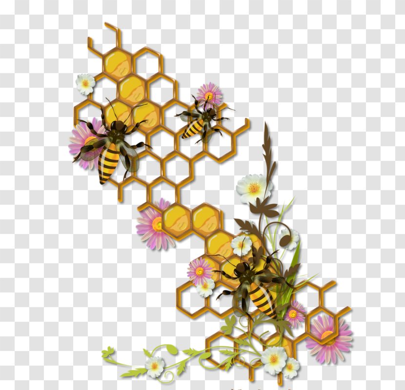 Beehive Insect Honey Bee Bumblebee - Floral Design - Hand-painted Transparent PNG