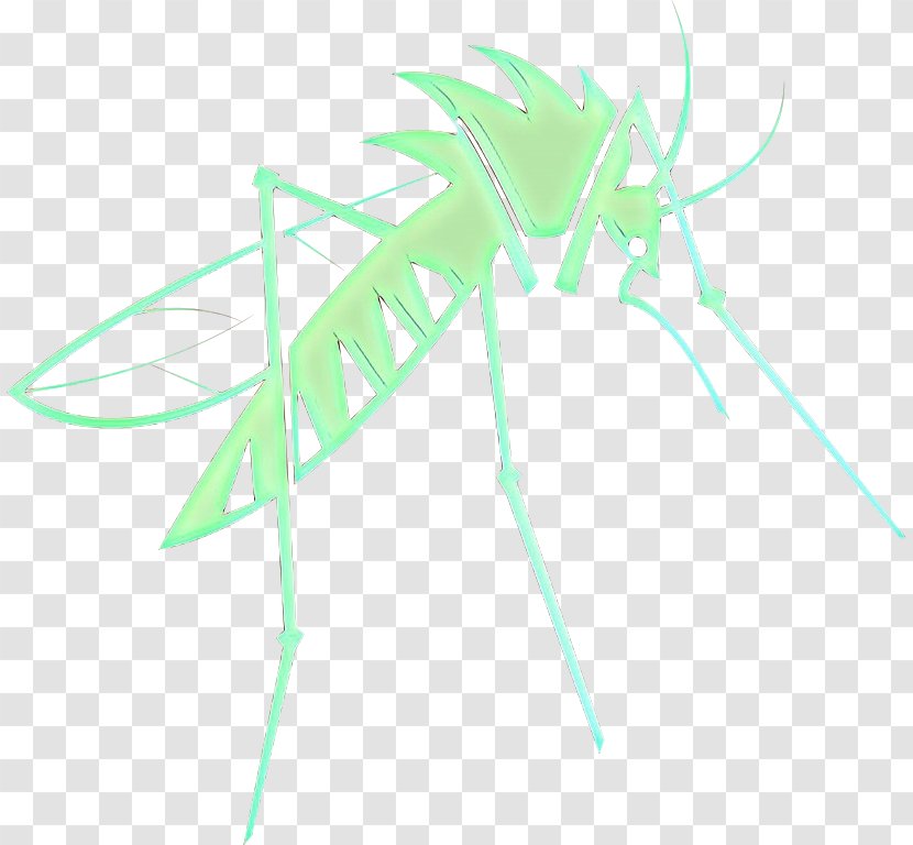 Tiger Logo - Blattodea - Line Art Transparent PNG