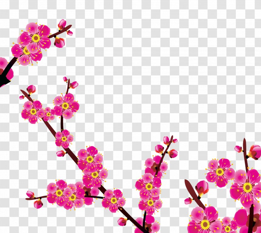 Download - Magenta - Ink Pink Plum Blossom Transparent PNG