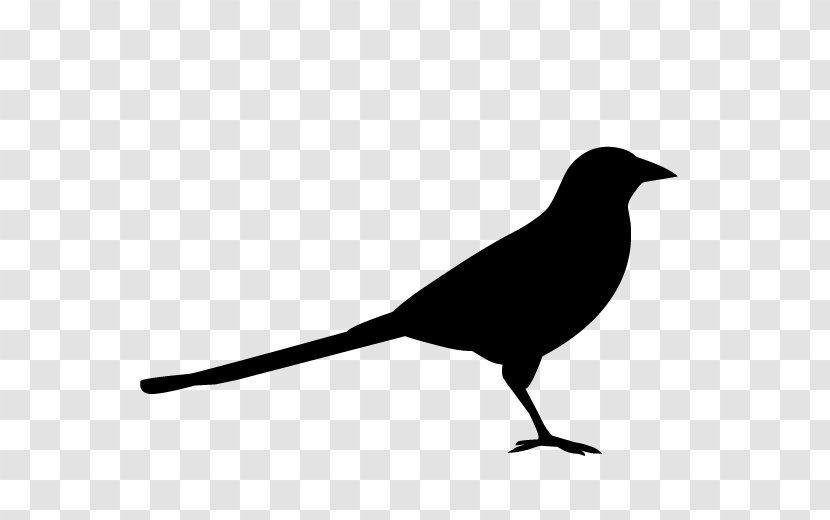 Logo Design American Crow Eurasian Magpie Silhouette - Vertebrate - Beak Transparent PNG
