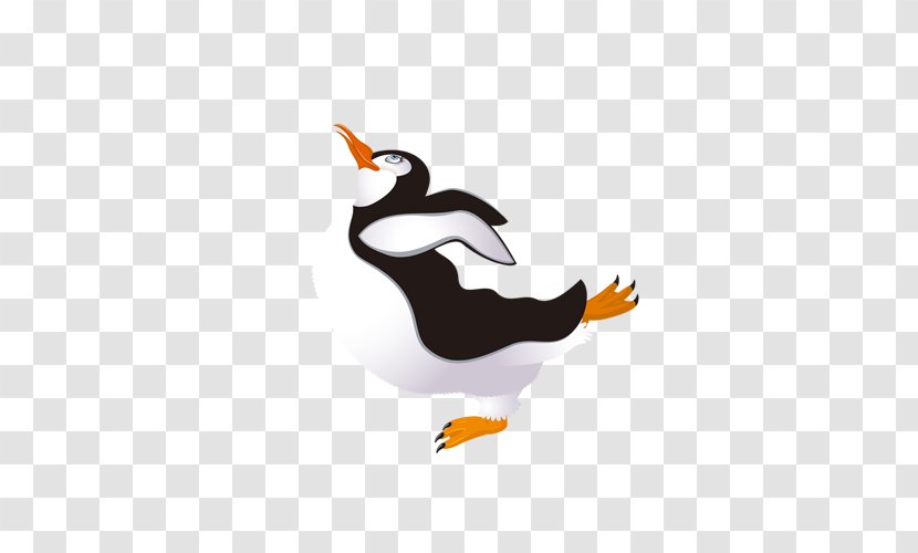 Penguin Bird Obesity Puffin - Beak Transparent PNG