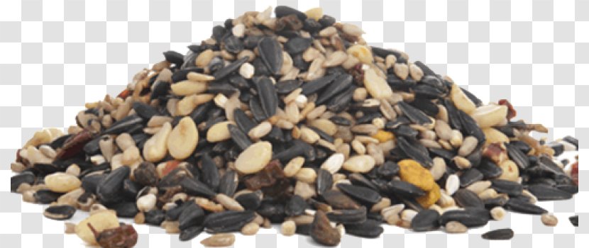Nut Caraway Seed Cake Sunflower Berry - Oil Transparent PNG