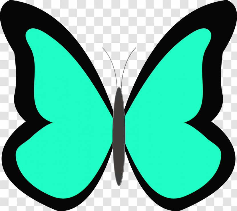 Butterfly Green Moths And Butterflies Wing Symmetry Transparent PNG