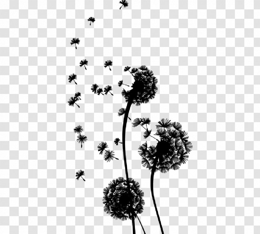 Life Black & White - Plant - M Domeniko Existence Literature Transparent PNG