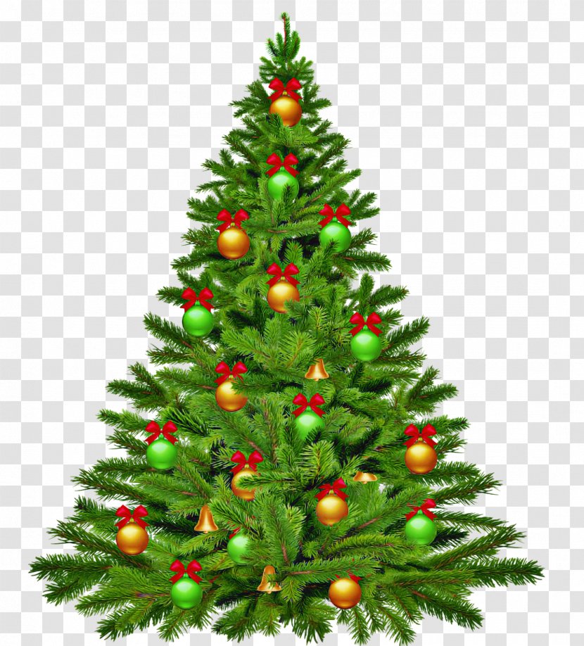 Christmas Tree - Holiday Ornament Balsam Fir Transparent PNG