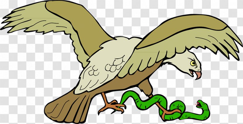 Clip Art Snakes Bald Eagle Openclipart - Organism - Vs Hawk Transparent PNG