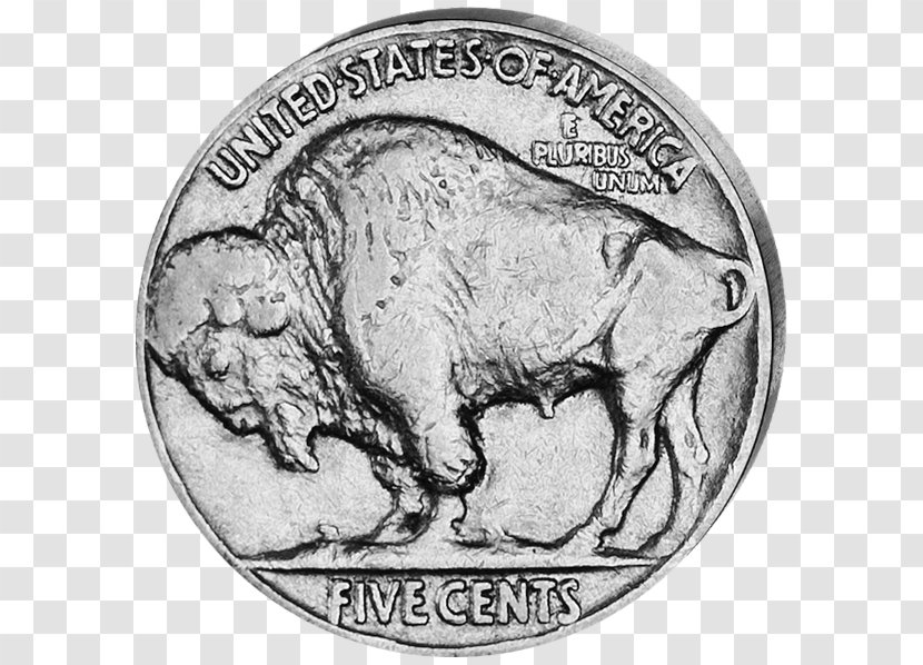 Coin Cattle Fauna Mammal - Currency Transparent PNG