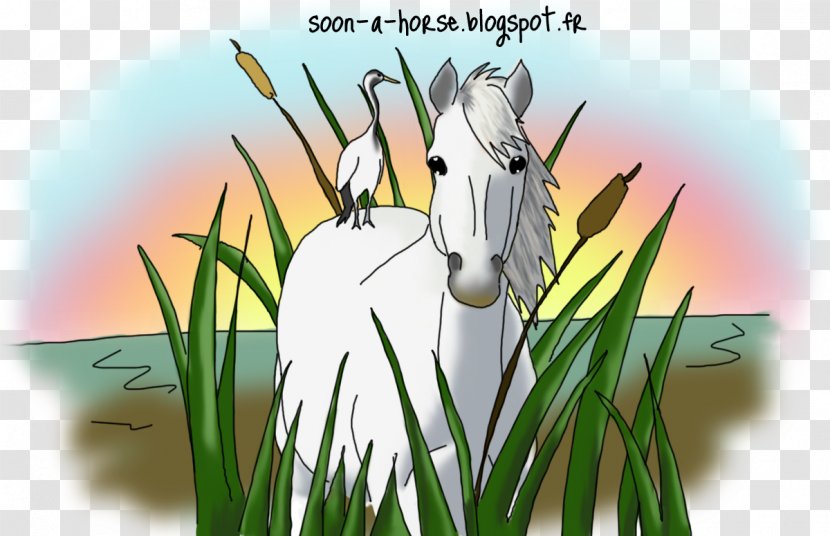 Grasses Insect Desktop Wallpaper Cartoon - Grass Family Transparent PNG